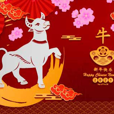 2021新(xīn)春快樂，牛年大吉！