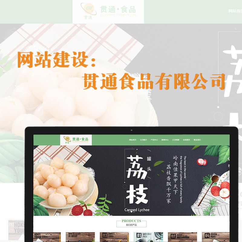 網站建設——貫通食品有(yǒu)限公(gōng)司